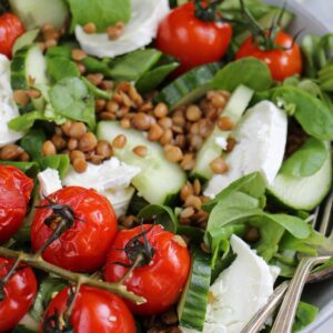 Makkelijke vegetarische salade recepten linzen salade met knoflooktomaten komkommer en geitenkaas