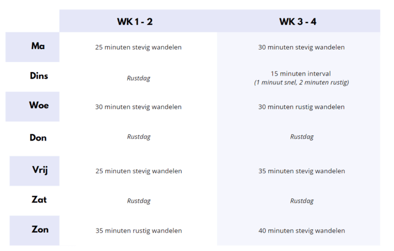 Afvallen met wandelen schema 2