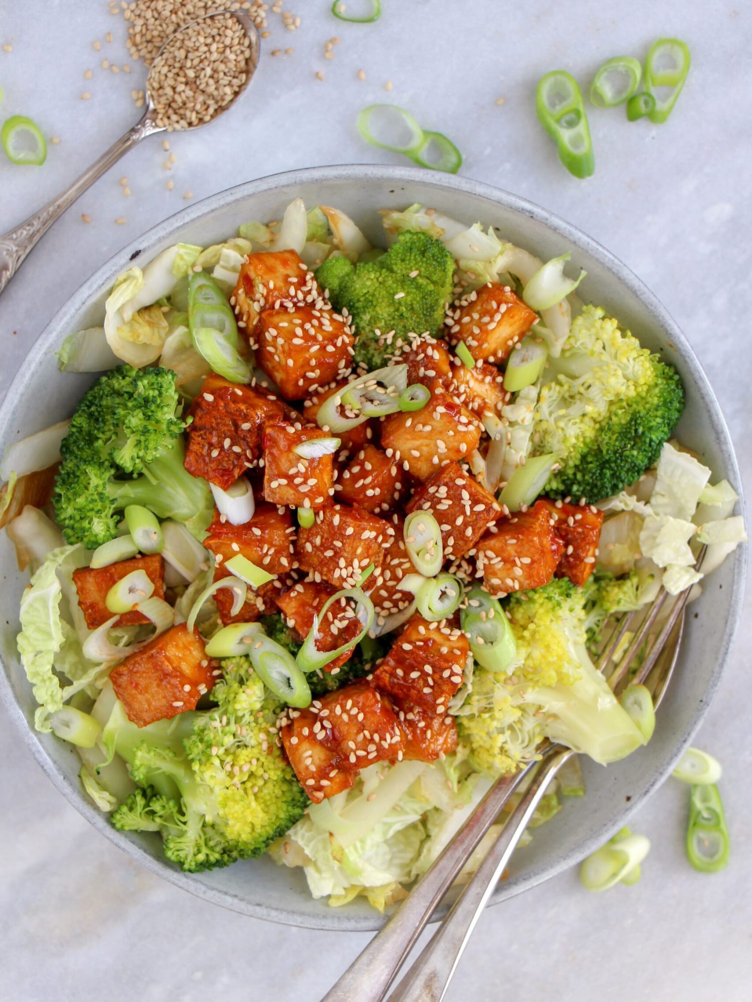 Makkelijke vegetarische recepten avondeten Vegetarisch recept met Chinese kool broccoli en tofu