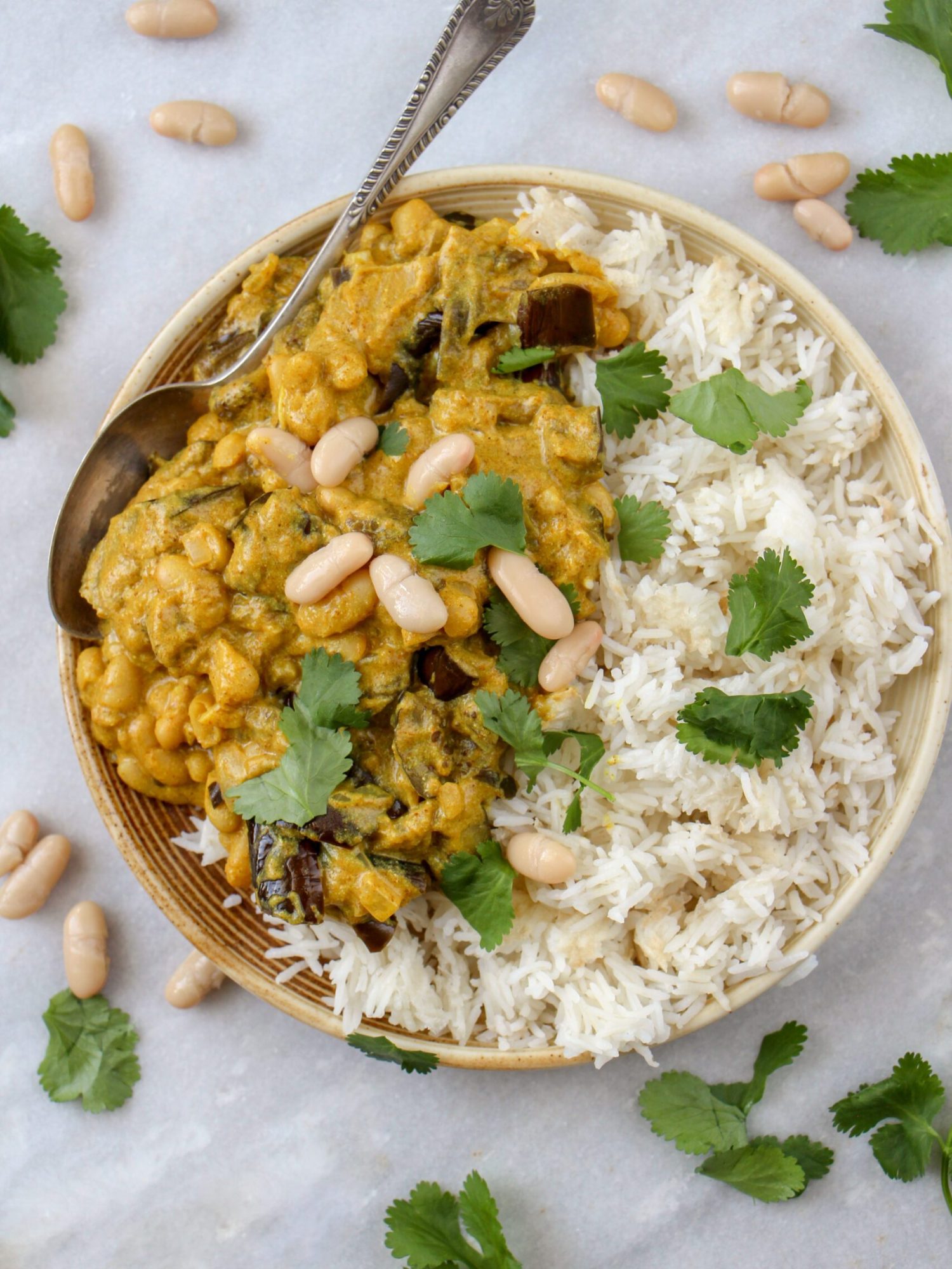 Makkelijke vegetarische recepten avondeten Vegetarische butter chicken met aubergine en witte bonen