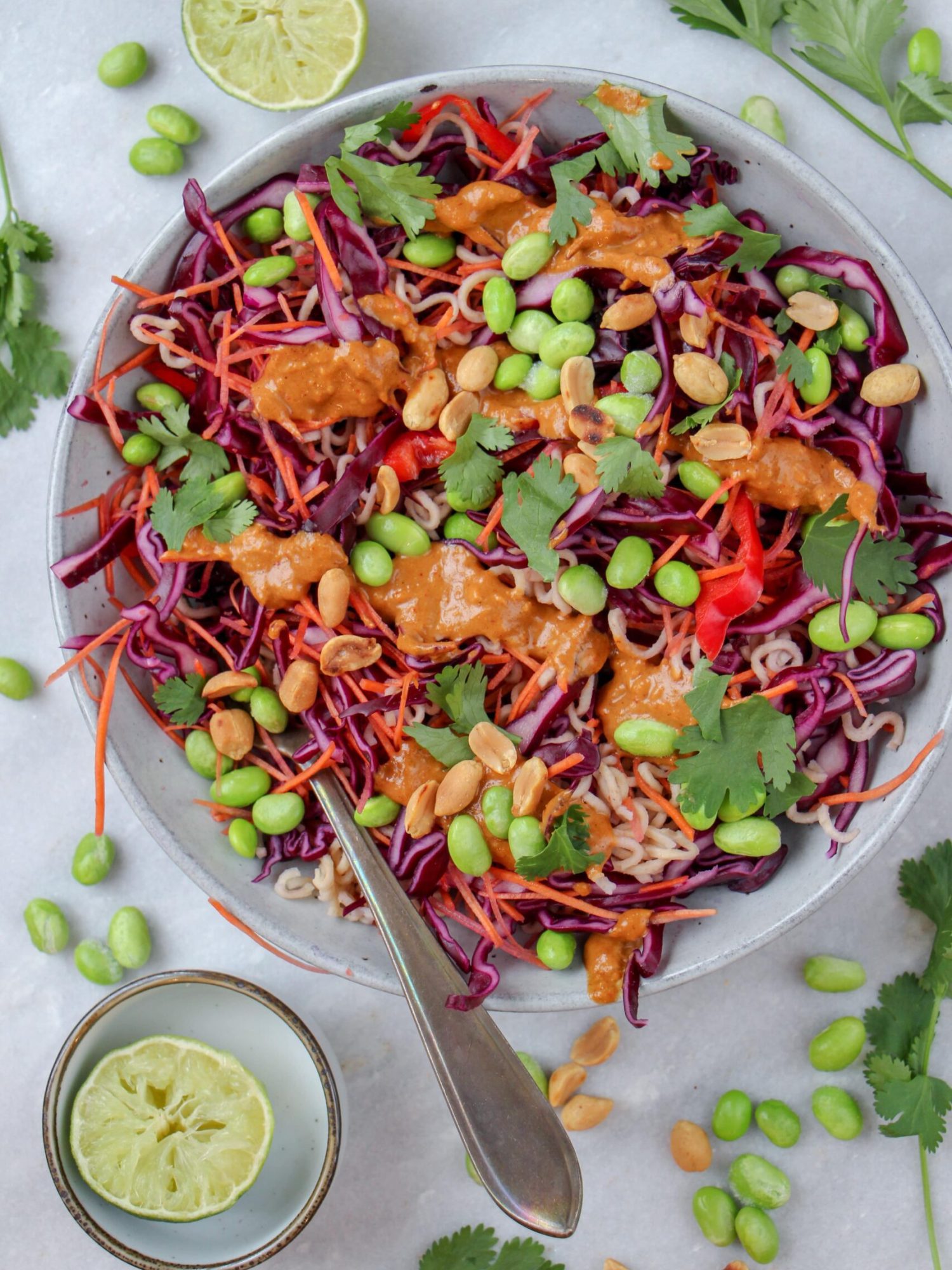 Makkelijke vegetarische salade recepten Regenboogsalade met noedels