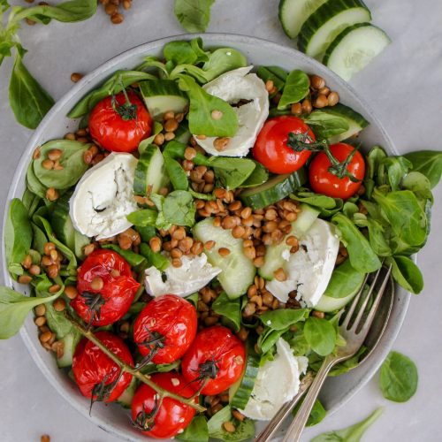 Makkelijke vegetarische salade recepten linzen salade met knoflooktomaten komkommer en geitenkaas