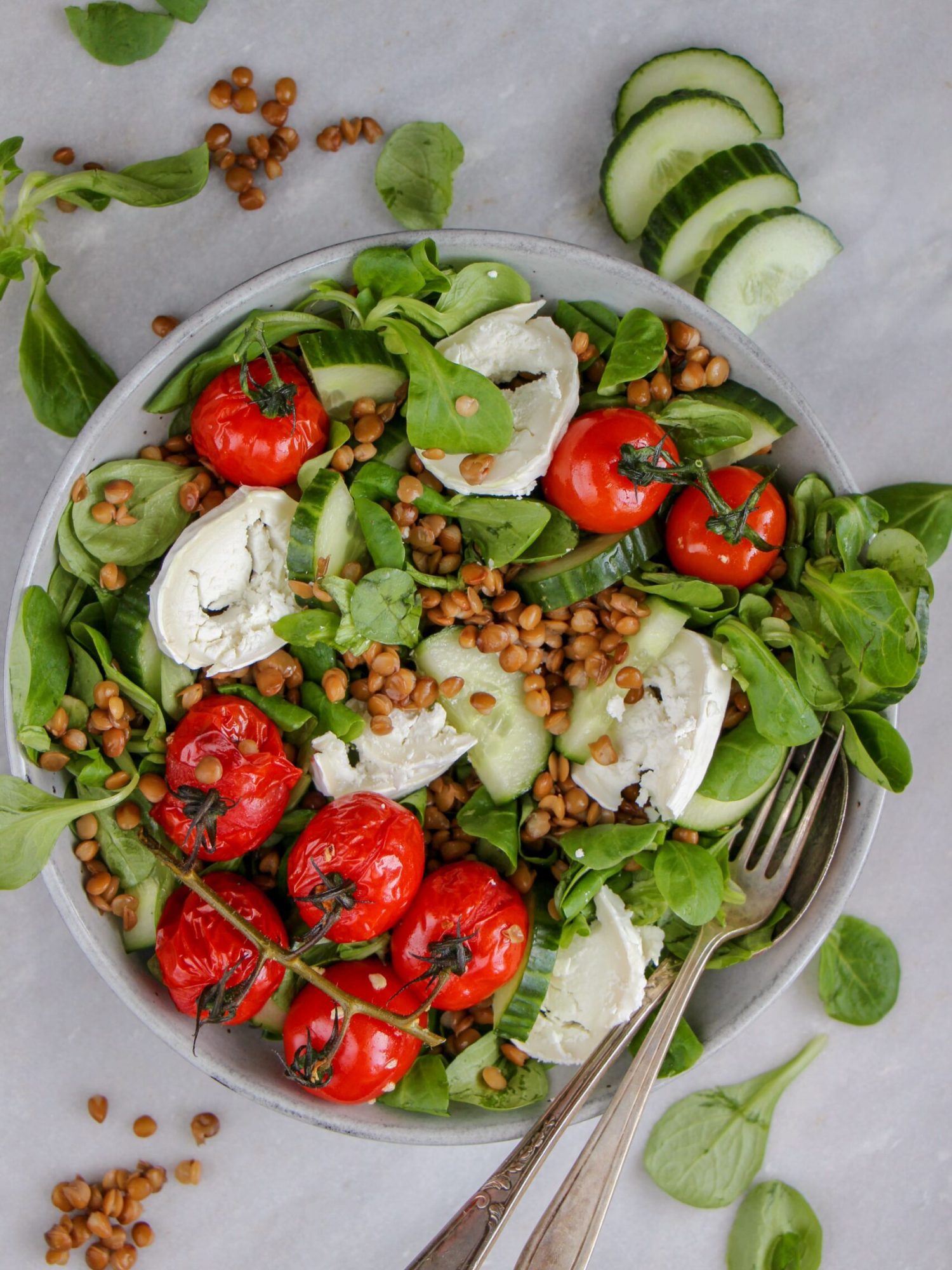 Makkelijke vegetarische salade recepten linzen salade met knoflooktomaten komkommer en geitenkaas