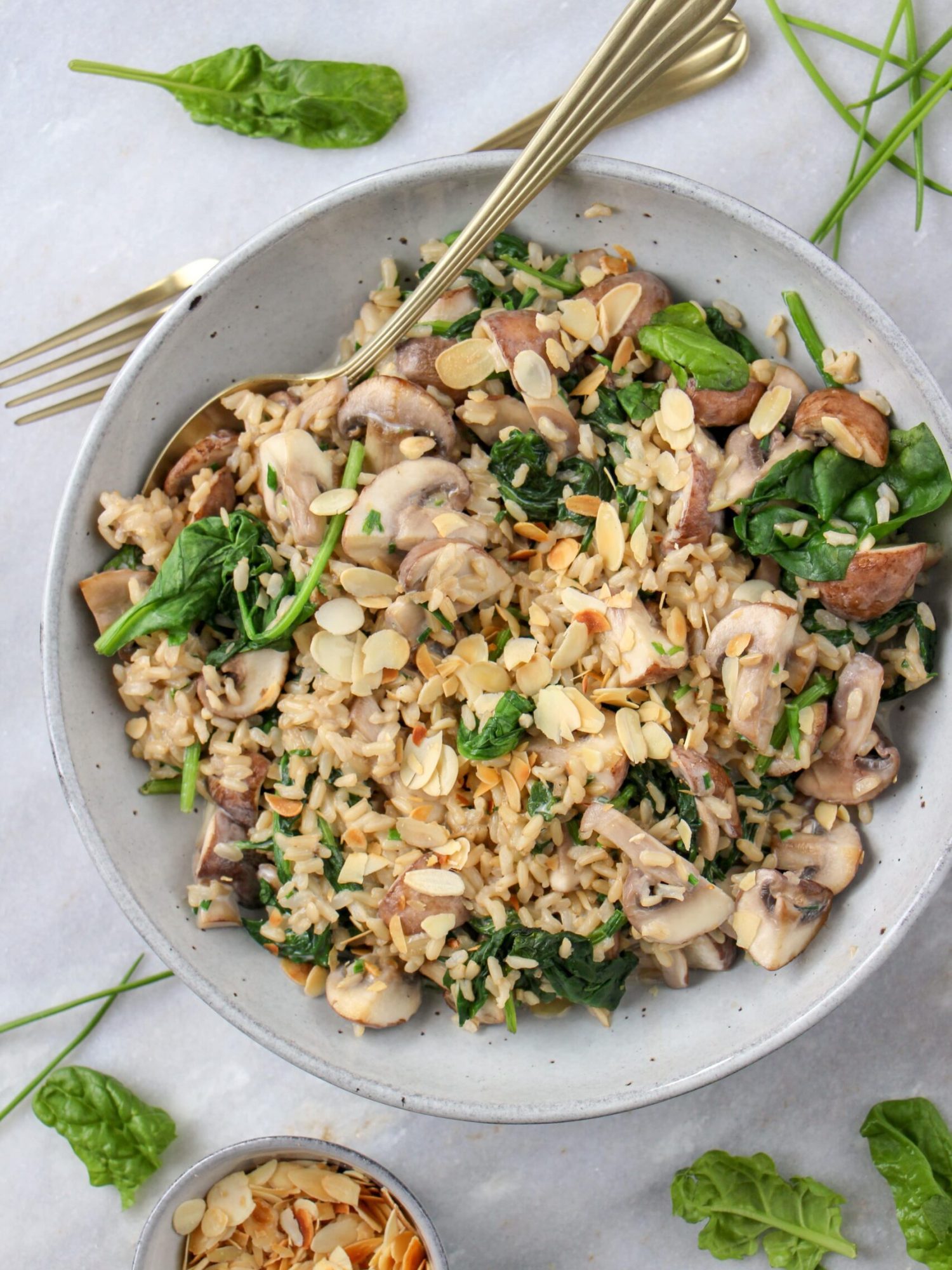 makkelijke vegetarische recepten avondeten rijst met spinazie en champignons